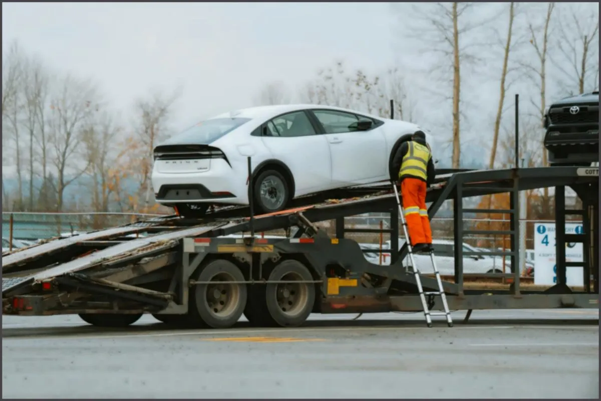 Cegonhas Transporte de Veículos: Tudo o Que Você Precisa Saber Cegonhas Transporte de Veículos: Tudo o Que Você Precisa Saber