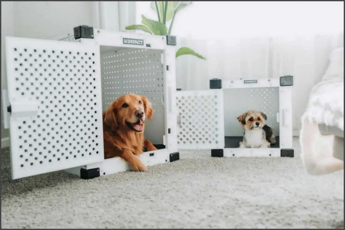 Formas de manter a casa sempre higienizada e cheirosa com pets