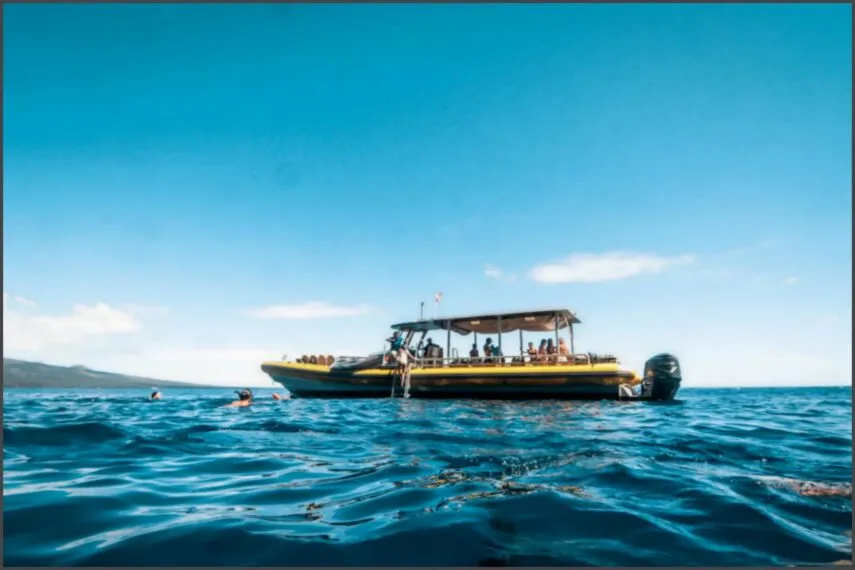 Passeios de barco para conhecer ilhas e recifes em locais exclusivos Passeios de barco para conhecer ilhas e recifes em locais exclusivos