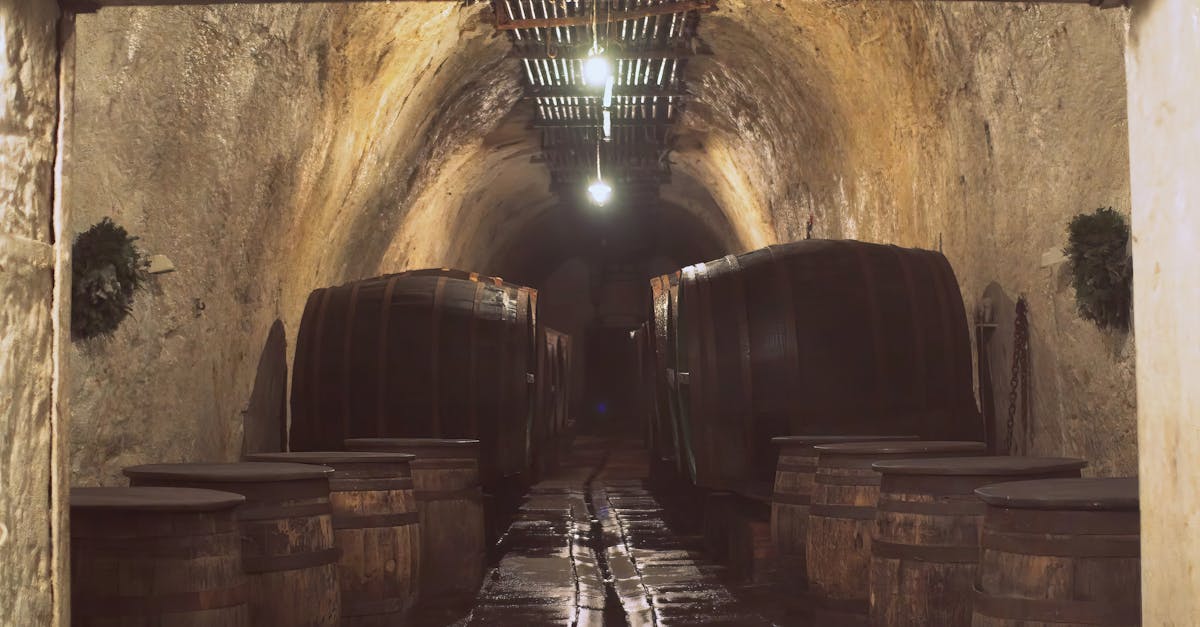 Quando surgiu a cerveja? Descubra sua fascinante história! Quando surgiu a cerveja? Descubra sua fascinante história!