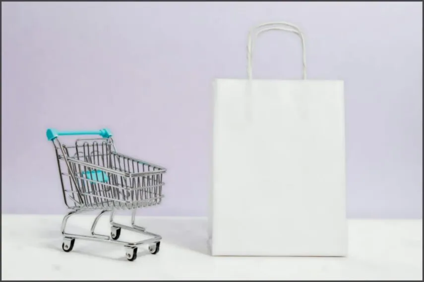 Como escolher um nicho para e-commerce? 9 recomendações!