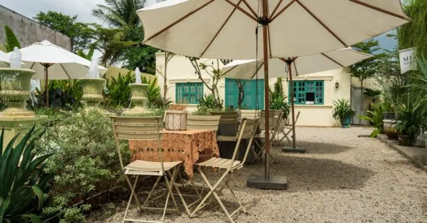 Como deixar o quintal mais fresco no verão sem gastar muito