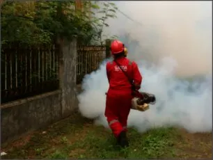 O que é dedetização e como ela funciona na prática O que é dedetização e como ela funciona na prática