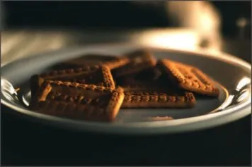 Fábrica de biscoitos saudáveis mira R$ 20 milhões e mostra como a tecnologia ajuda empresas a crescer Fábrica de biscoitos saudáveis mira R$ 20 milhões e mostra como a tecnologia ajuda empresas a crescer